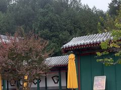 -宫事颐庭·老佛爷贵寿下午茶(颐和园店)