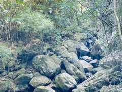 -亚婆田·白水寨生态旅游度假区