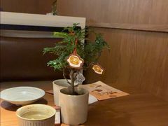 -CURRY YA 熟成咖哩專門店(深圳湾万象城店)