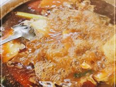 -新乡杨记红焖羊肉火锅(天坛南门店)