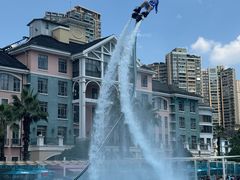 -海合安成都极地海洋公园