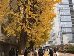 -四川大学(华西校区)