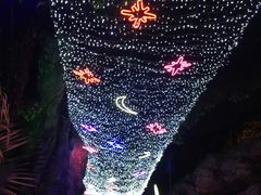 -横店影视城梦幻谷园区