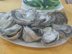 -蚝专家(北滘店)