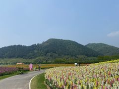 -径山花海