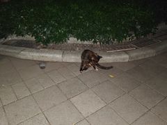 -晓港公园
