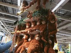 -宜家家居(西安未央商场店)