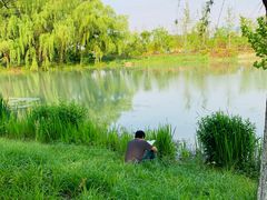 -昆山城市生态森林公园