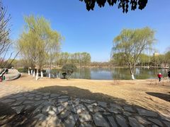 -西安浐灞国家湿地公园