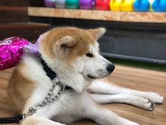 -YCHL Studios健身工作室(市二宫店)