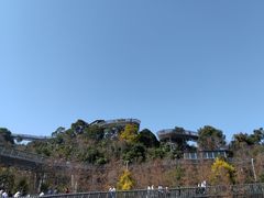 -福道