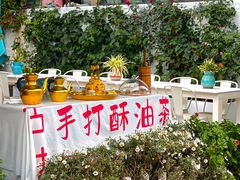 -春天里餐厅·云南创意菜特色美食(束河店)