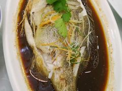-普天和酒楼·新津菜·烤鸭(天津之眼店)