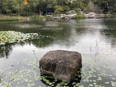 -苏州独墅湖世尊酒店