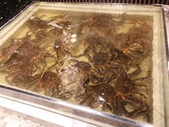 -蟹将军·松叶蟹和牛日料放题自助(K11店)