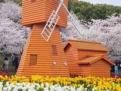 -苏州上方山国家森林公园