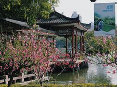 -西湖公园(鼓楼区)