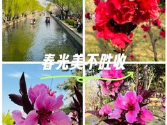 -元大都城垣遗址公园