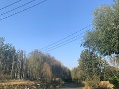-北坞公园