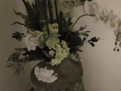 -新盈光·旗舰店(海曙苍松路店)