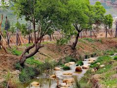 -福建土楼（华安）旅游区•大地土楼群