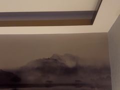 -金凤凰健康养生·足疗·推拿·SPA(横岗店)