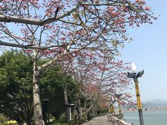 -广济桥