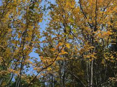 -白塘生态植物园