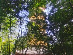 -阿育王寺