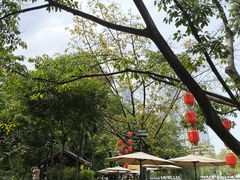 -成都市活水公园