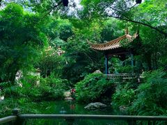 -广州兰圃