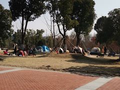 -九科绿洲