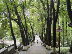 -忠山公园