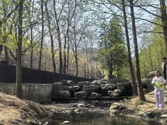 -白水寺森林公园