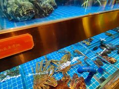 -ONE FULL 古董港式海鲜火锅