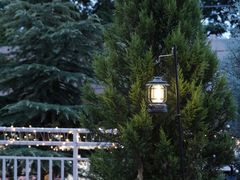 -花·fleur古董西餐厅(西城夜未央店)