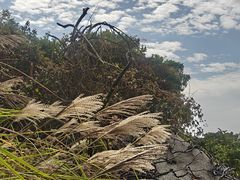 -火炉山森林公园