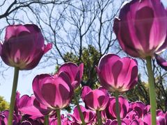 -玄武湖景区-情侣园游乐场