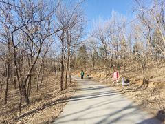 -北京西山国家森林公园