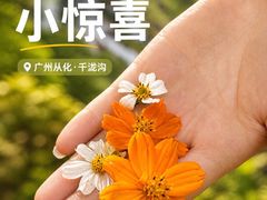 -千泷沟大瀑布旅游区