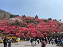 -木兰云雾山