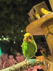 -酷嗒动物文化乐园(cutezoo西溪乐天城店)