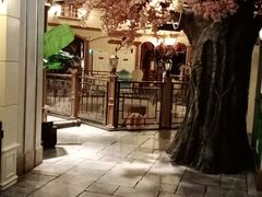 -火吧PTV聚会餐厅(10号店)