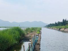 -花岙岛