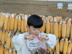 -北戴河集发农业梦想王国