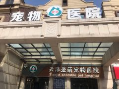 -美联众合宠物医院·爱萌分院·内外科·猫科中心