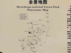 -莫尔道嘎国家森林公园