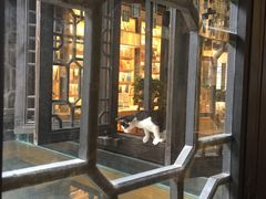 -猫的天空之城概念书店(杭州南宋御街店)
