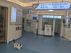 -全心全意动物诊疗中心医院(北苑店)