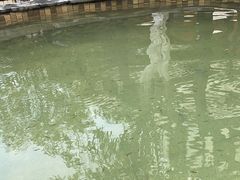 -三江森林温泉度假区